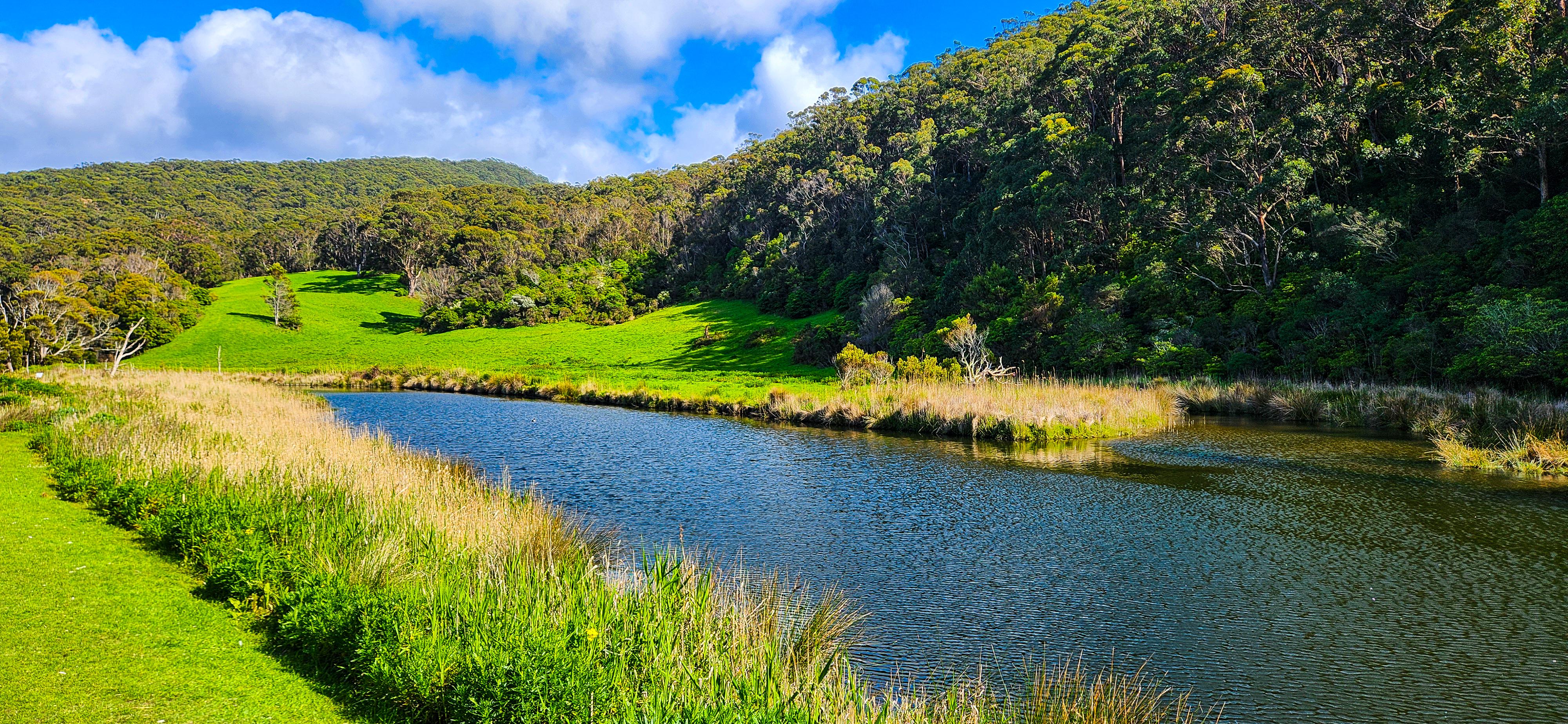 Kennett River